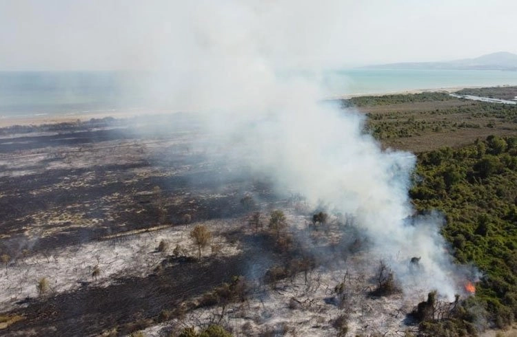 Kızılırmak Deltası Kuş Cenneti'nde yangın Görseli