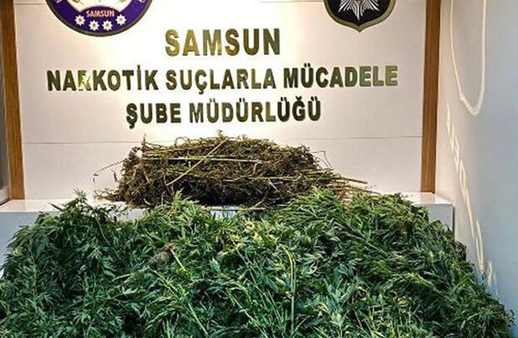 Samsun'da 'köpek bakım çiftliği'ne uyuşturucu baskını Görseli