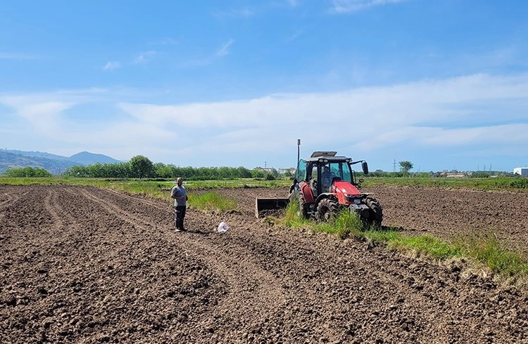 Samsun'da çiftçiler arazilerini çeltik ekimi için hazırlıyor Görseli
