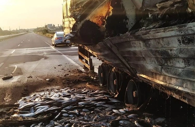 Bafra'da balık yüklü tırda yangın çıktı Görseli
