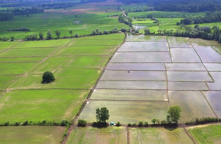 Sulama sezonunda 450 bin dekar arazi sulanacak Görseli