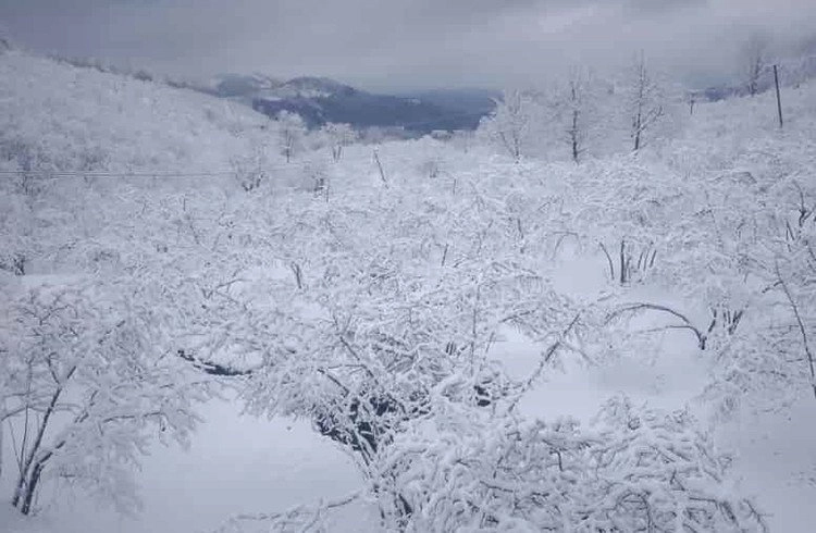 Samsun'da kar yağışı Görseli