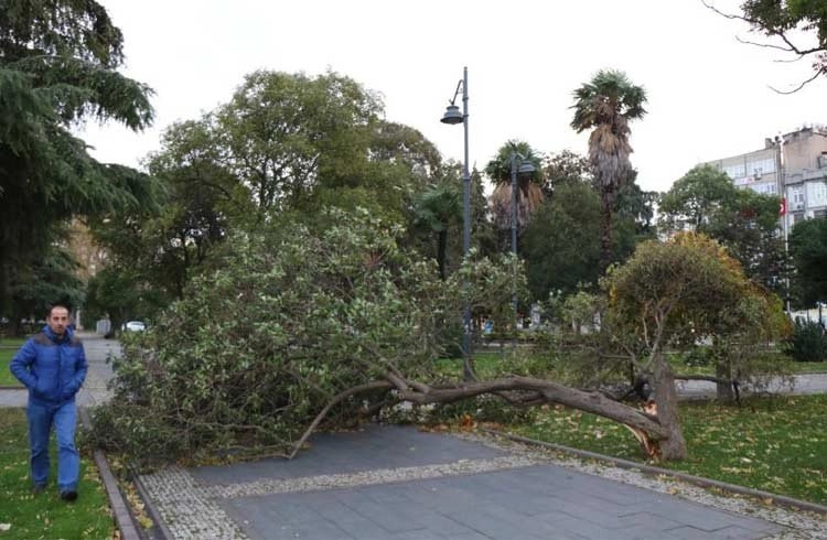 Samsun’da şiddetli fırtına: Çatılar uçtu, ağaçlar devrildi Görseli