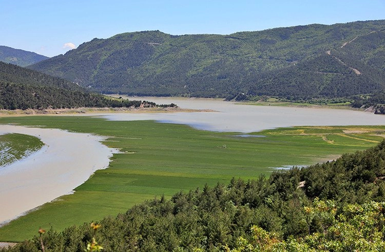 Baraj gölü alanına buğday eken çiftçilerin ekinleri sular altında kaldı Görseli