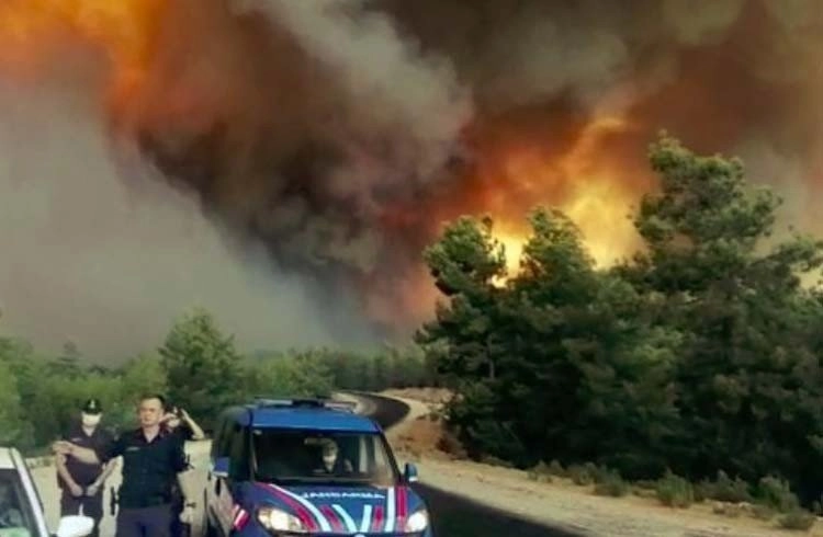 Manavgat'ta orman yangını Görseli