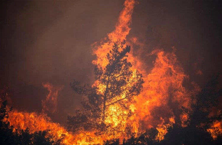 Yunanistan’daki yangın Türk köylerine ulaştı Görseli