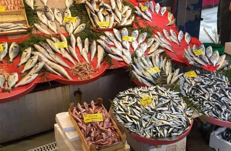 Samsun'da hangi balık ne kadar Görseli