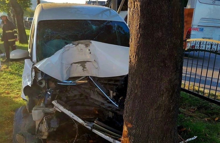 Otomobil ağaca çarptı Görseli