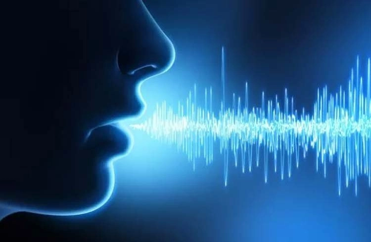 Sesiniz çalınabilir! Ses 15 farklı dile çevrilebiliyor Görseli
