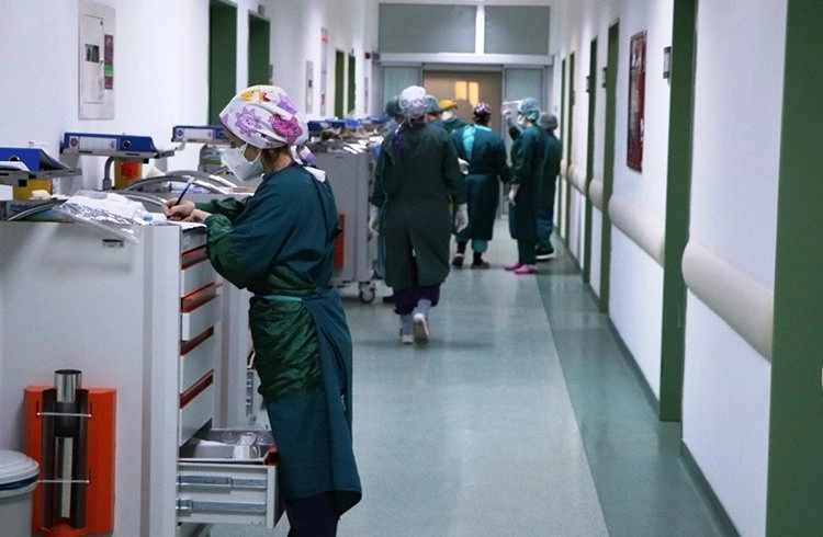 Prof.Dr. Kulakaç: 2 bin 710 hemşire pandemiye yenik düştü Görseli