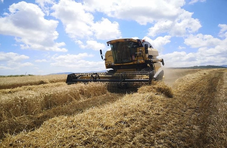 434 bin ton buğday unu ihracatı Görseli