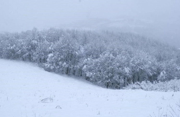 Samsun'da kar kalınlığı 44 cm Görseli